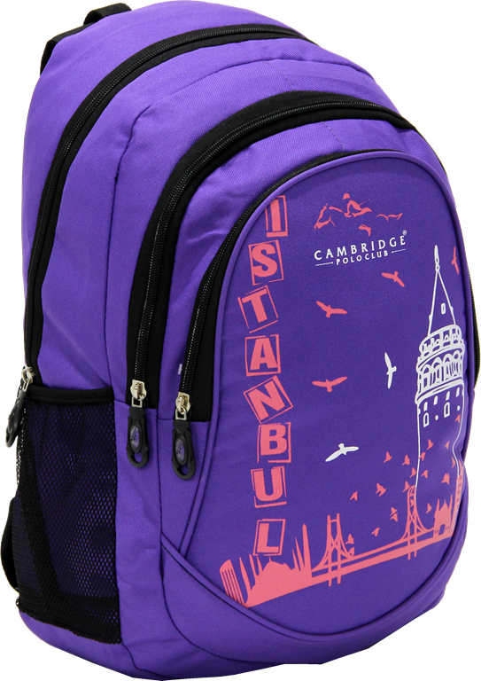 Cambridge Polo Club, Istanbul Backpack, Purple