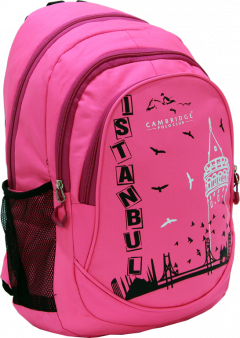 Cambridge Polo Club, Istanbul Backpack, Pink-1