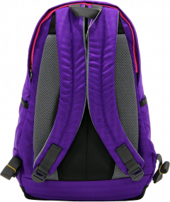 Cambridge Polo Club Plcan1715, Sport & Backpack, Purple-3