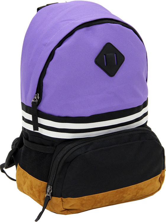 Cambridge Polo Club, Nubuck Base Unisex Mini Backpack, Purple
