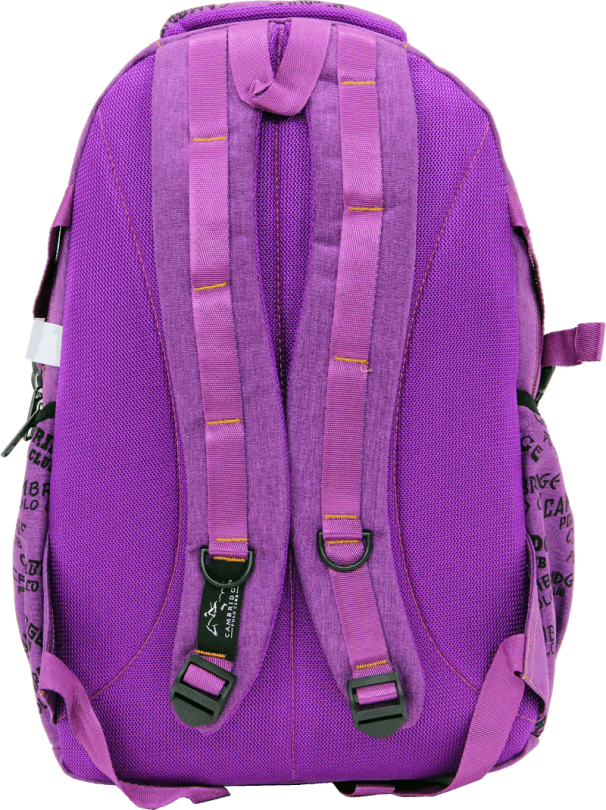 Cambridge Polo Club, Canvas Backpack, Purple