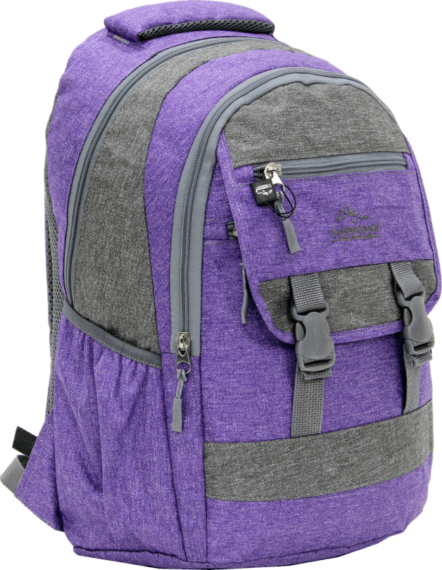 Cambridge Polo Club Plcan1684, Jeans Fabric Backpack, Purple