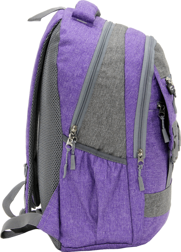 Cambridge Polo Club Plcan1684, Jeans Fabric Backpack, Purple