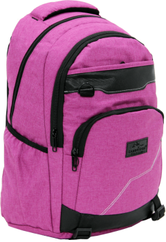 Cambridge Polo Club Plcan1685, Jeans Fabric Backpack, Pink-1