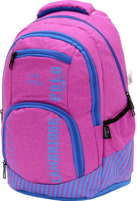 Cambridge Polo Club Plcan1680, Backpack, Pink