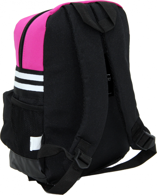 Cambridge Polo Club, Unisex Mini Backpack, Pink