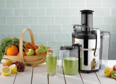 Dualit dual max outlet juicer