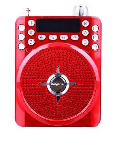 Kingboss Mikrofon Girişli Portatif Anfi Müzik Çalar ve Radyo-2