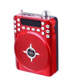 Kingboss Mikrofon Girişli Portatif Anfi Müzik Çalar ve Radyo-3