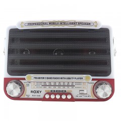 Roxy RXY-940 Radyo Renkli Led Müzik Çalar-0