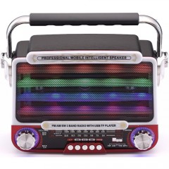 Roxy RXY-940 Radyo Renkli Led Müzik Çalar-1